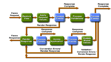 Lifecycle